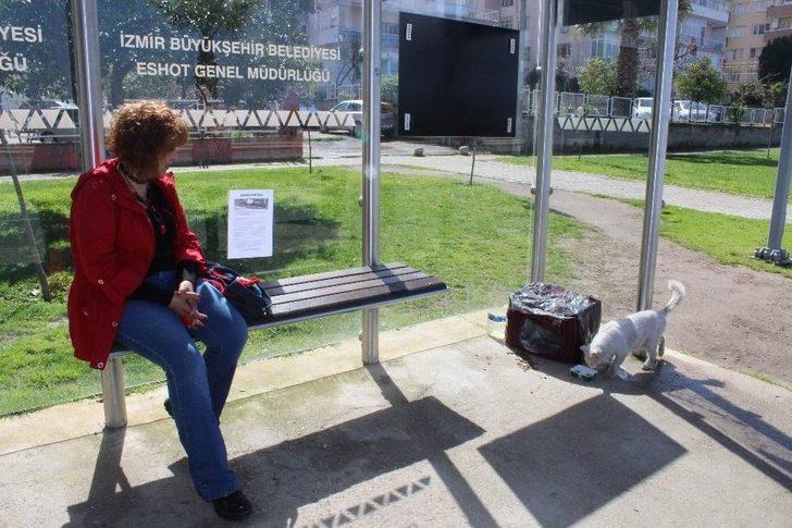 (özel Haber) Durakta İstenmeyen Kedi İçin Yazı Astı, Paylaşım Rekoru Kırdı G2