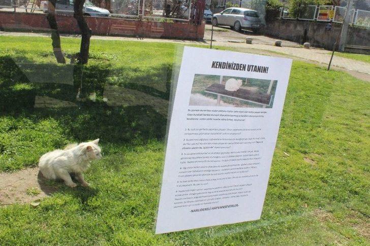 (özel Haber) Durakta İstenmeyen Kedi İçin Yazı Astı, Paylaşım Rekoru Kırdı G5