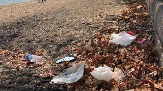 Örnek Gençler Sahili Temizledi