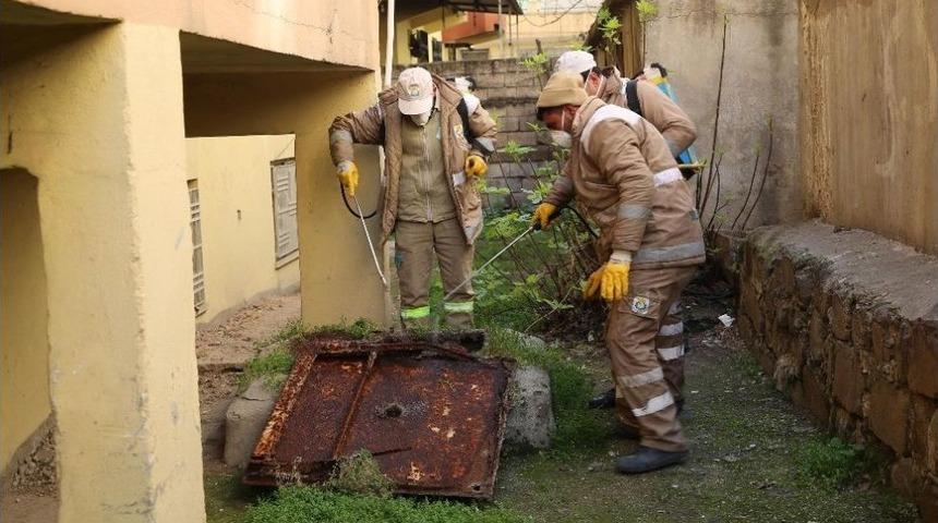 Haliliye&rsquo;de Haşere Ve Sinekle M&uuml;cadele S&uuml;r&uuml;yor