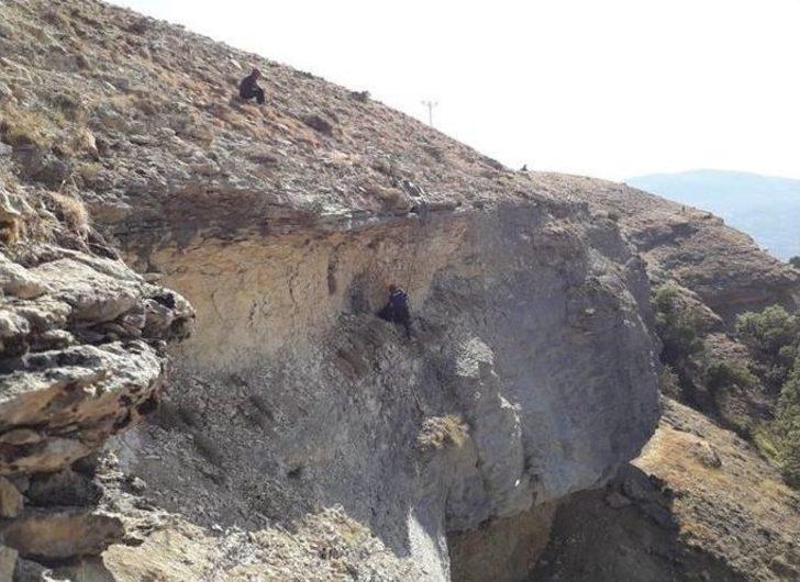 Uçurumda 4 Gün Mahsur Kalan Keçi Kurtarıldı G1