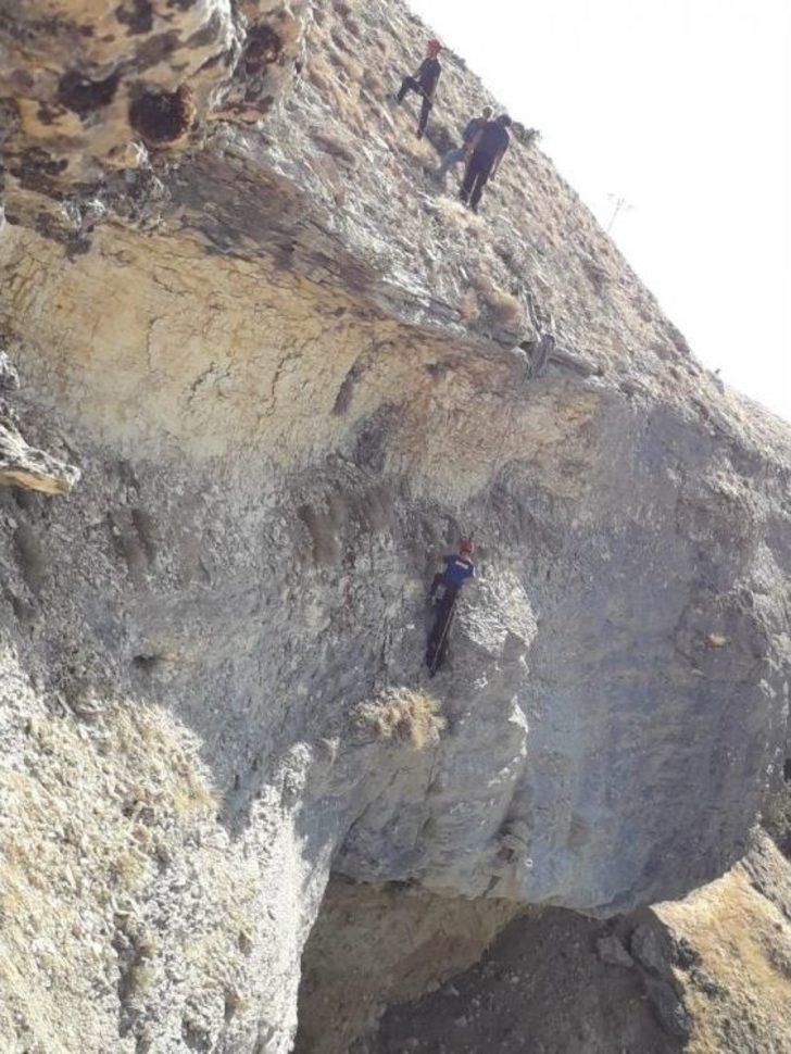 Uçurumda 4 Gün Mahsur Kalan Keçi Kurtarıldı G2