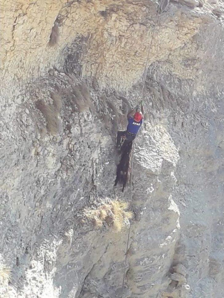 Uçurumda 4 Gün Mahsur Kalan Keçi Kurtarıldı G4