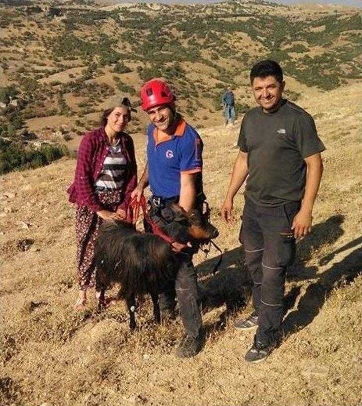 Uçurumda 4 Gün Mahsur Kalan Keçi Kurtarıldı G5