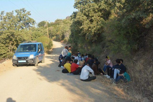 Çanakkale’de 40 Kaçak Göçmen Yakalandı