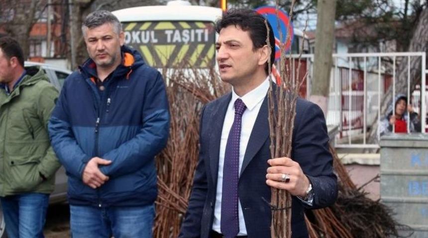 Trabzon Hurması, Kivi İle Yarışacak