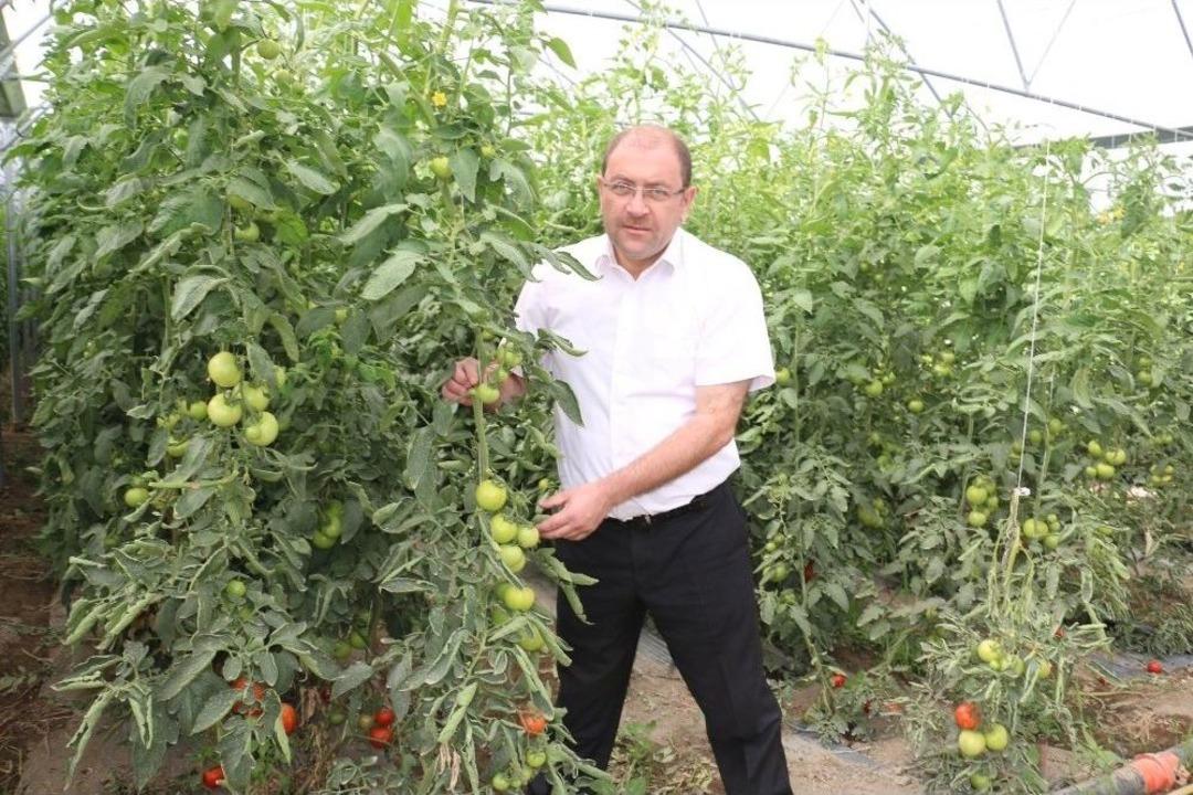 Erzincan&rsquo;da Sera Yatırımları Devam Ediyor