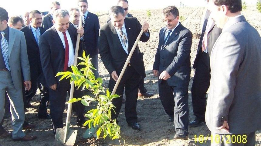 Ormanlar Kırsal Kalkınmanın Lokomotifi Oluyor