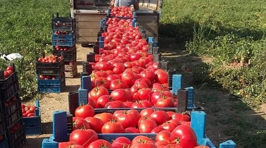 Başkan Buluşan Aracılara Ateş Püskürdü