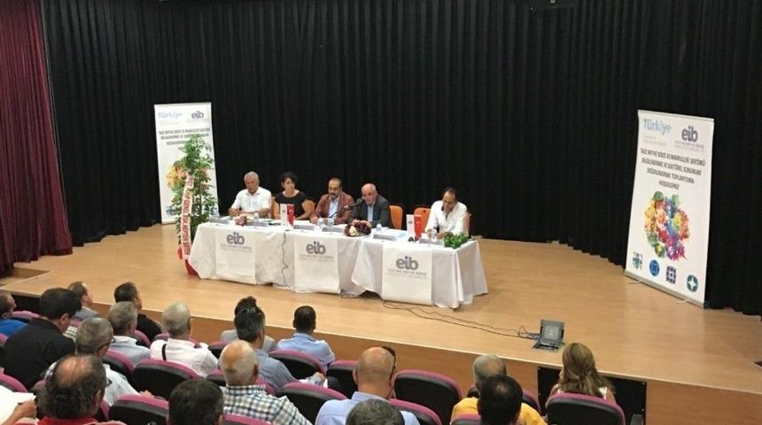 Akdeniz Meyve Sineği İle Mücadelede Destek 50 Tl’den 80 Tl’ye Çıkıyor