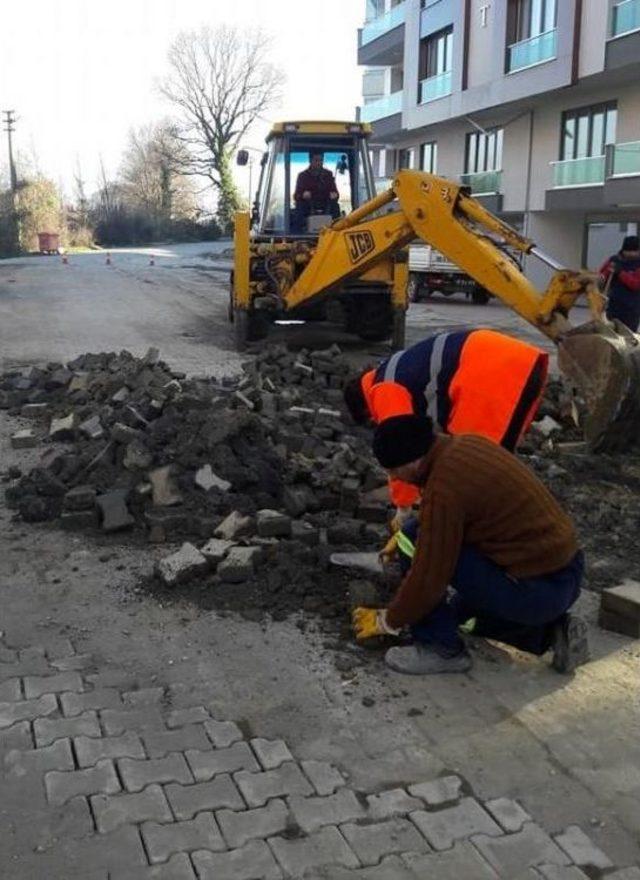 Akçakoca’da Cedde Ve Sokaklar Yenileniyor