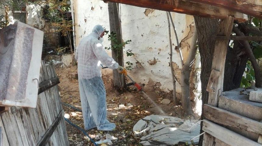 Bilecik Belediyesi’nden İlaçlama Çalışması