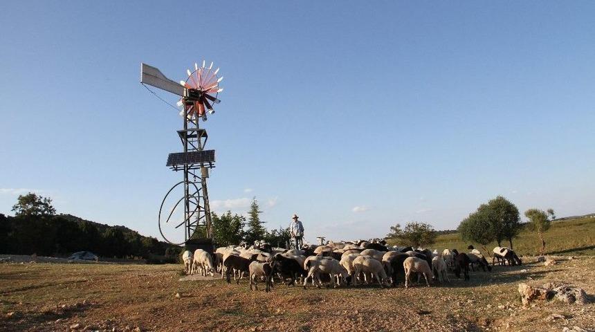 Hayvanların Su İhtiyacı G&uuml;neş Ve R&uuml;zgar Enerjisinden