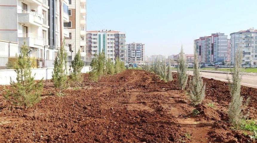 Bağlar Belediyesi Yeşil Alan Oluşturma Çalışmalarına Devam Ediyor