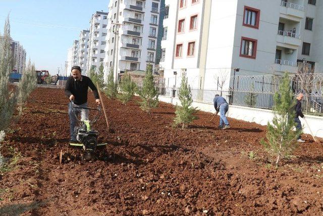 Bağlar Belediyesi Yeşil Alan Oluşturma Çalışmalarına Devam Ediyor