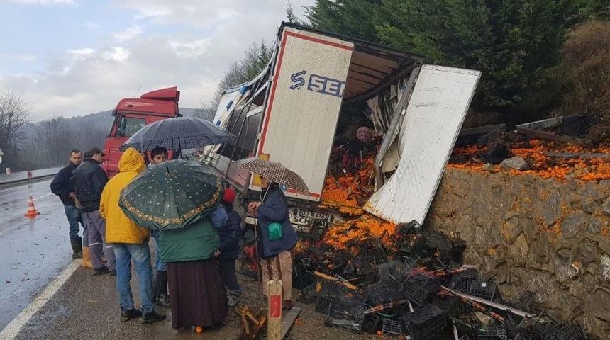 26 Ton Mandalinayı Köylüler Topladı