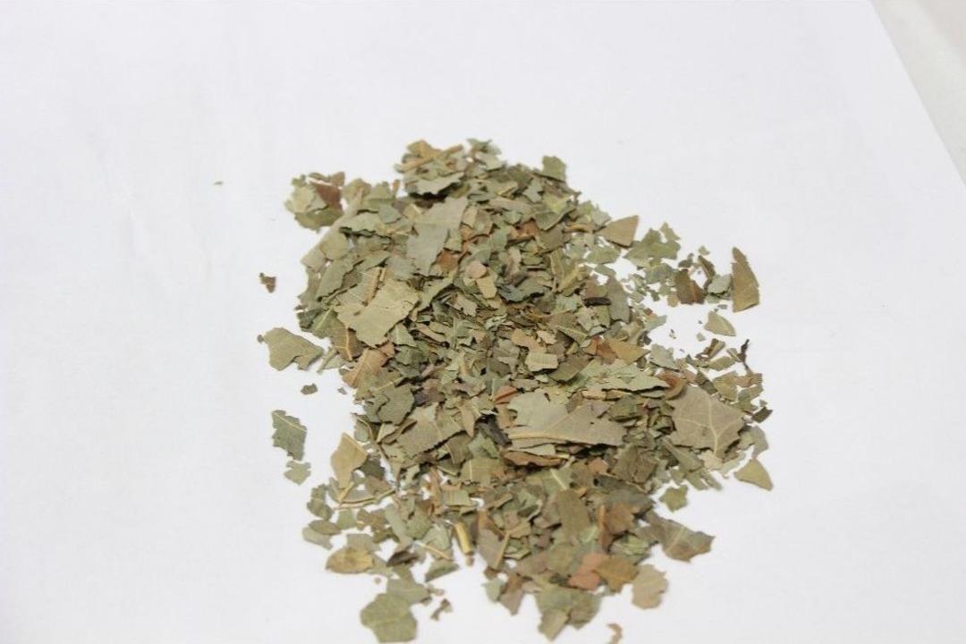 Lise &Ouml;ğrencilerinden Kolon Kanserini Y&uuml;zde 50 Azaltan Buluş