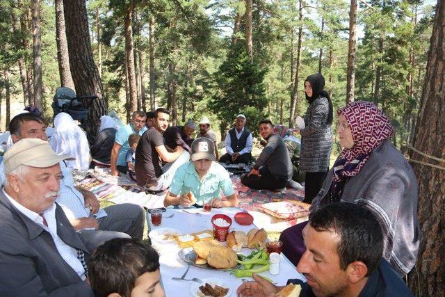 Güllüce Köylüleri Carmek Yaylası’nda Buluştular