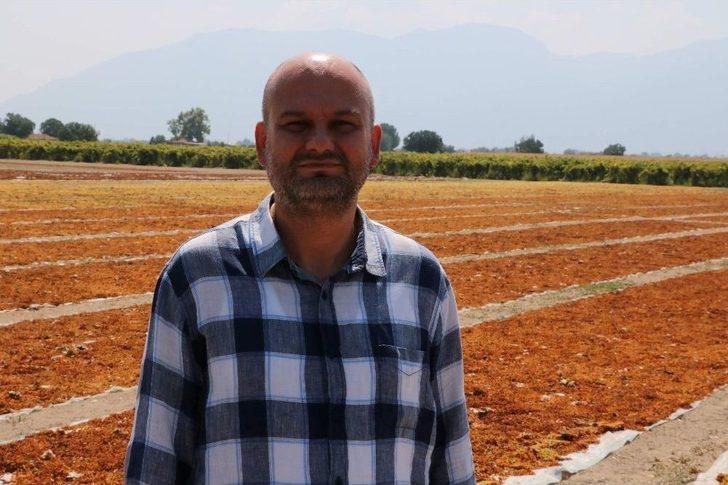 Manisa’nın ’kara Altın’ı Değerini Buldu G5