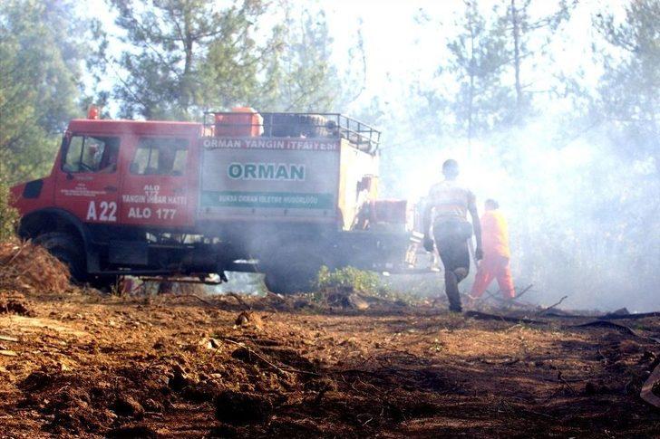 Bursa’da 2 Orman Yangını Çıktı, Ekipler Anında Müdahale Etti G1