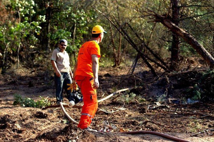 Bursa’da 2 Orman Yangını Çıktı, Ekipler Anında Müdahale Etti G3