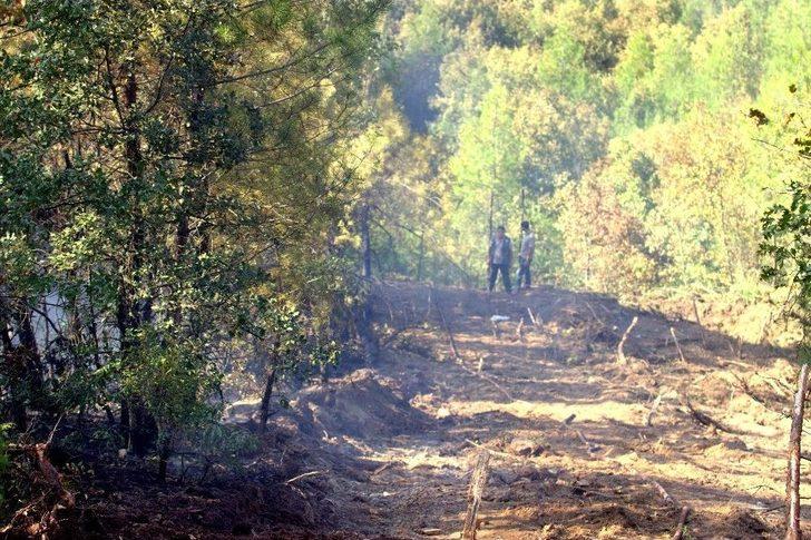 Bursa’da 2 Orman Yangını Çıktı, Ekipler Anında Müdahale Etti G5