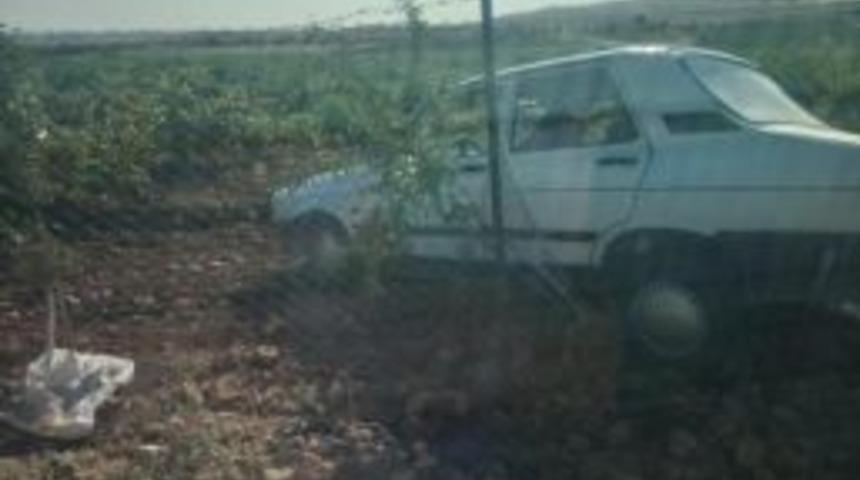 Otomobil Bağa Girdi: 2 Yaralı