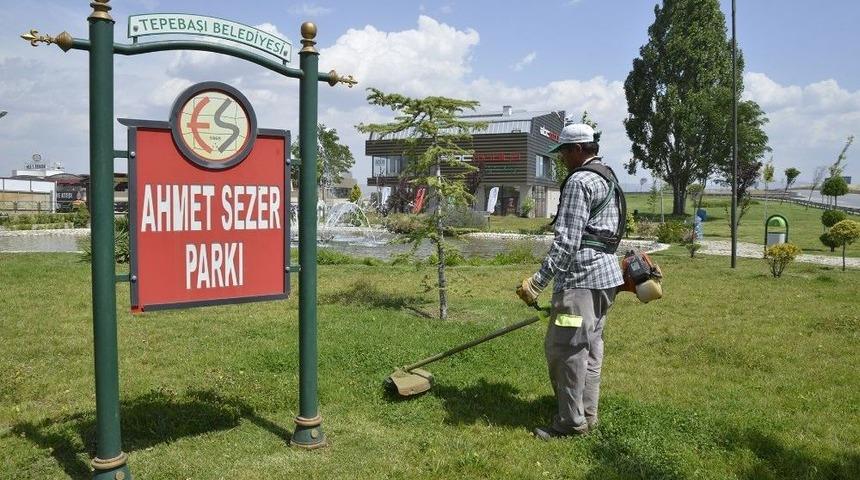 &Ccedil;imler Bi&ccedil;iliyor, Yabani Otlar Temizleniyor