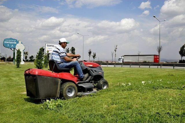 Çimler Biçiliyor, Yabani Otlar Temizleniyor