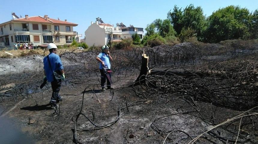 Kavak Ağacı Yangın &Ccedil;ıkardı