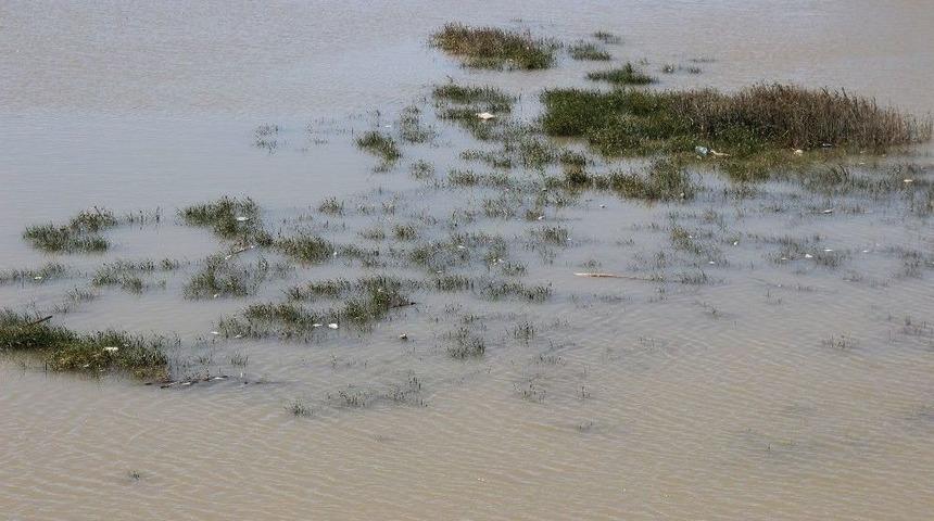 Balık &Ouml;l&uuml;mleri Korkuttu