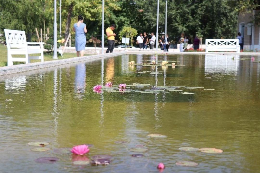 T&uuml;rkiye&rsquo;nin İlk Nil&uuml;fer &Uuml;retim Merkezi A&ccedil;ıldı