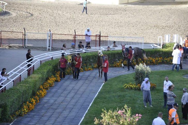 Jandarma Koşusunda Nefesler Tutuldu G5