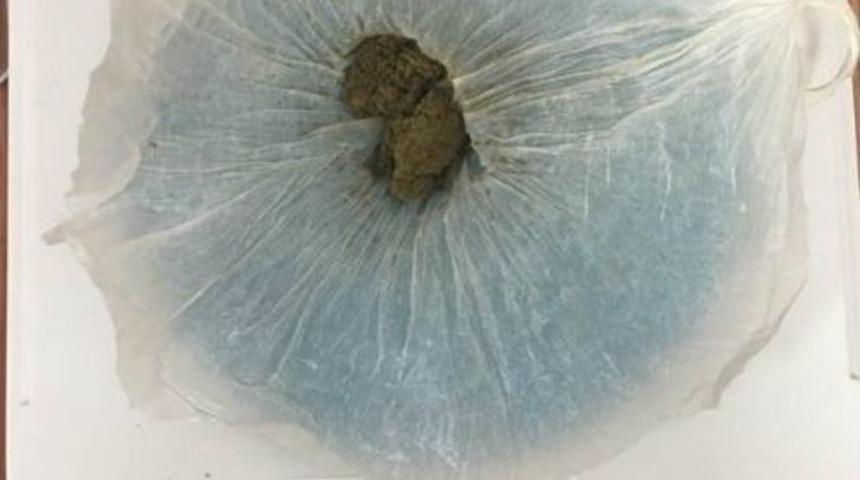 Muş&rsquo;ta Uyuşturucu Operasyonu