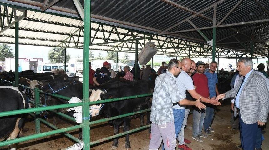 Başkan G&uuml;naydın, Hayvan Pazarında İncelemelerde Bulundu