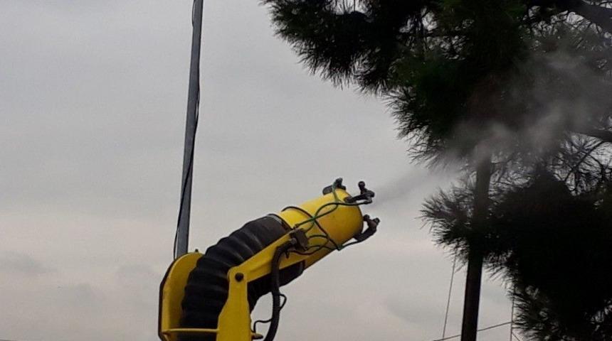 Kocaeli&rsquo;de &Ccedil;am Kese B&ouml;ceğine Karşı İla&ccedil;lama Yapılıyor