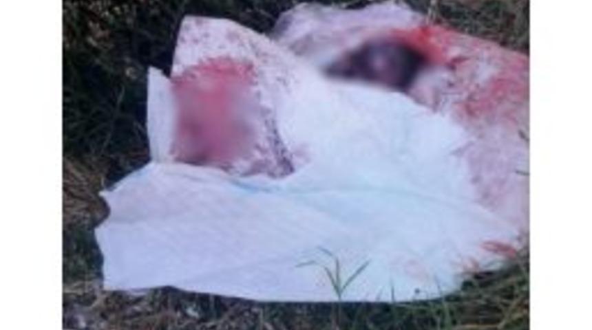 &Ccedil;&ouml;p Kenarında Yeni Doğmuş Bebek Cesedi Bulundu