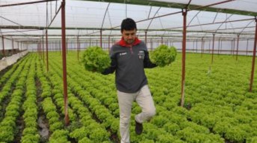 Zonguldak&rsquo;ta Mevsimlik İş&ccedil;ilerin G&uuml;nl&uuml;k &Uuml;creti A&ccedil;ıklandı