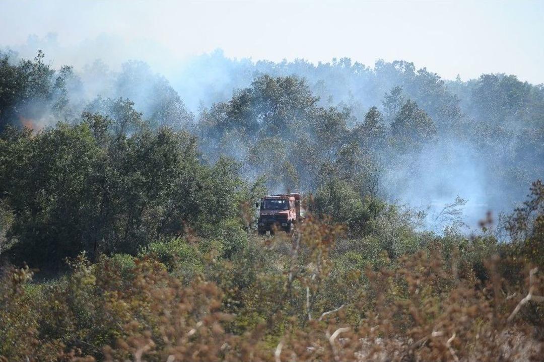 Bursa&rsquo;da 5 Hektarlık Alan K&uuml;le D&ouml;nd&uuml;