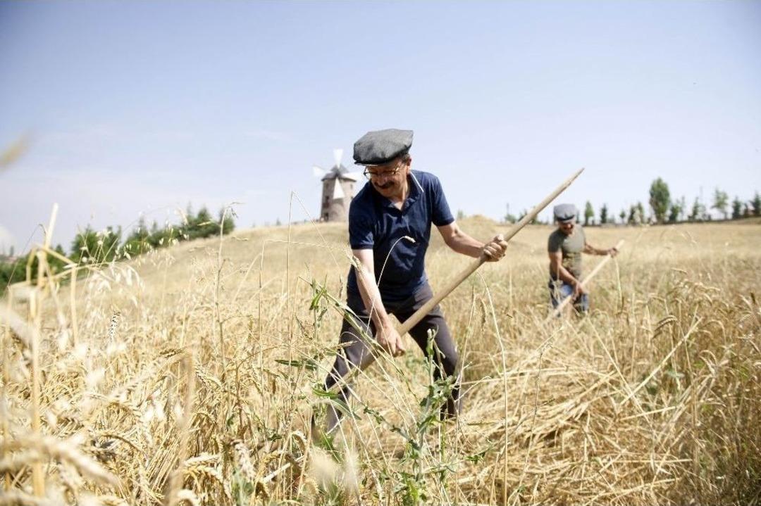 Başkent&rsquo;in G&ouml;beğindeki K&ouml;yde Şenlik Var