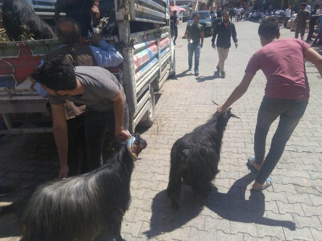 Fiyatlar Y&uuml;ksek Olunca Vatandaş Ke&ccedil;iye Y&ouml;neldi