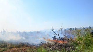 İznik’te Sazlıklar Alev Alev Yandı