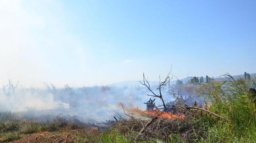 İznik’te Sazlıklar Alev Alev Yandı