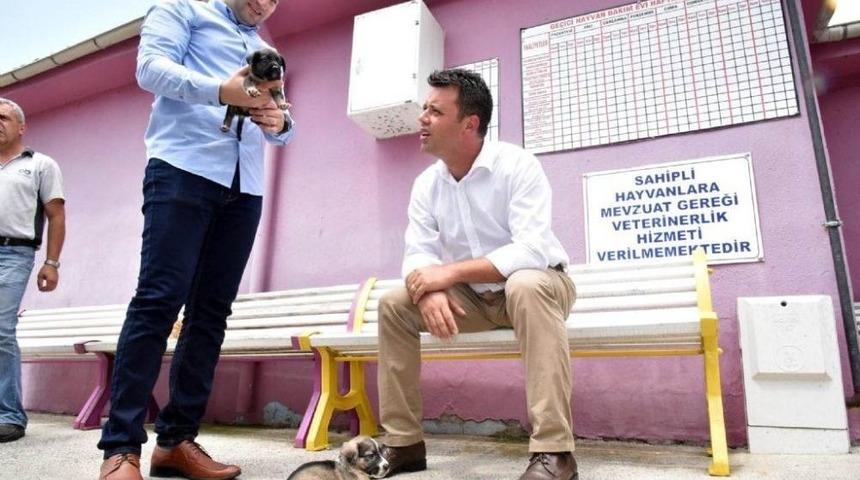 Başkan Sarıkurt, Hayvan Bakımevini Ziyaret Etti