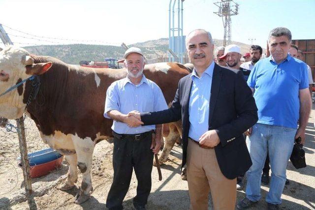 Başkan Aydın, Kurban Pazarını Gezdi