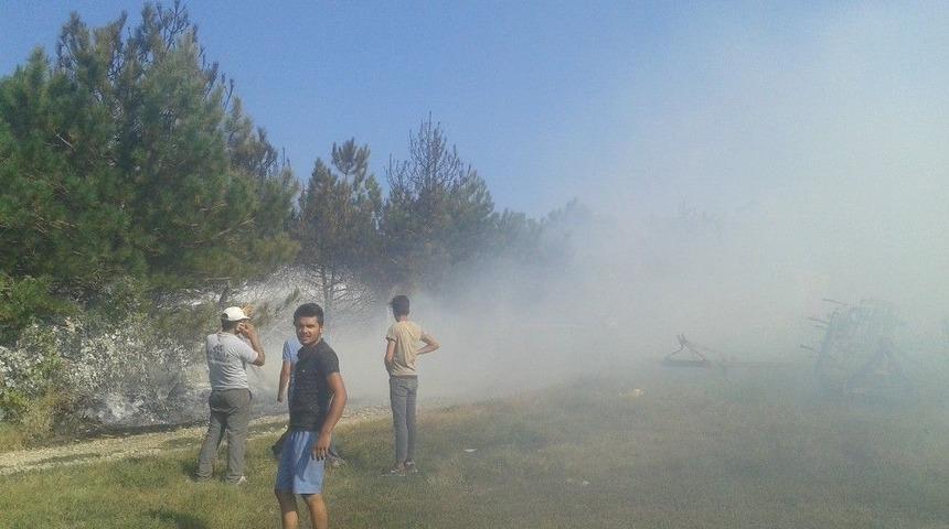 Atatürk Hatıra Ormanı’nda Yangın: 400 Çam Kül Oldu