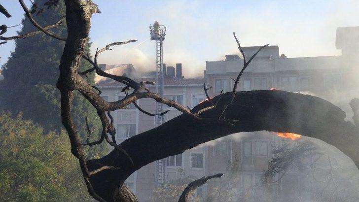 Çanakkale’de Otluk Alanda Çıkan Yangın Evlere Zarar Verdi G3