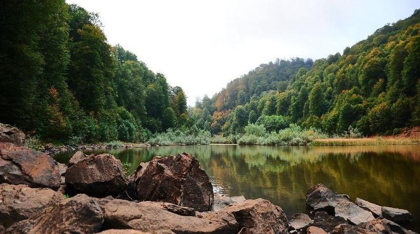 Gölün Çevresinden Bir Kamyon Çöp Çıktı