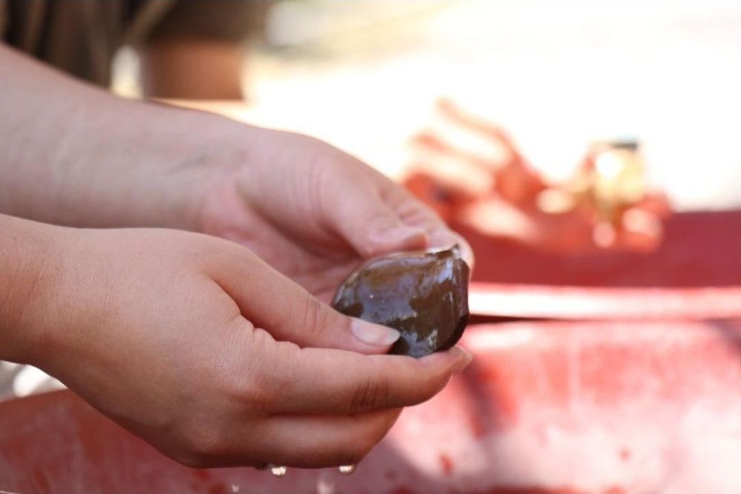 Adakadıbelli: &ldquo;bakanlığın Kararı Olumlu Ancak &Ouml;ğrenciler Arkeoloji B&ouml;l&uuml;m&uuml;n&uuml; Tercih Etmedi&rdquo;