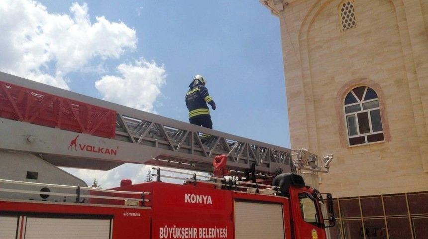 Yuvadan Düşen Yavru Leyleği Kurtarma Operasyonu